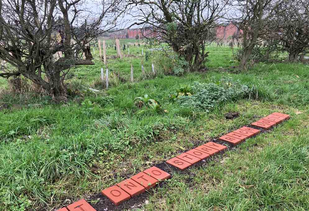 Hafod y Bwch Commemorative Woodland